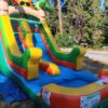 Sunny Splash down - Image 4